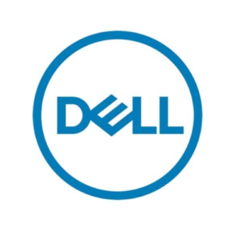 Dell - Kit Cliente - SSD - Mixed Use - crittografato - 960 GB - 2.5" (in supporto da 3,5") - SAS 12Gb/s - Self-Encrypting Drive (SED)